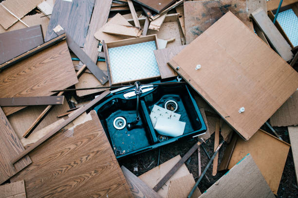 Best Furniture Removal  in Dland, MI